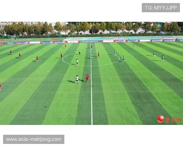 德州市足球甲级联赛开幕,采用主客场制